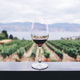 Six Bottles of Wine | $40 | Firstleaf